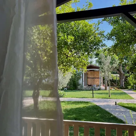 Hotel Caretta Caretta Çıralı