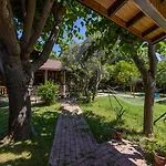 Hotel Caretta Caretta 3*