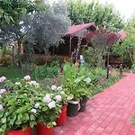 Hotel Caretta Caretta 3*