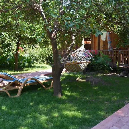 Hotel Caretta Caretta