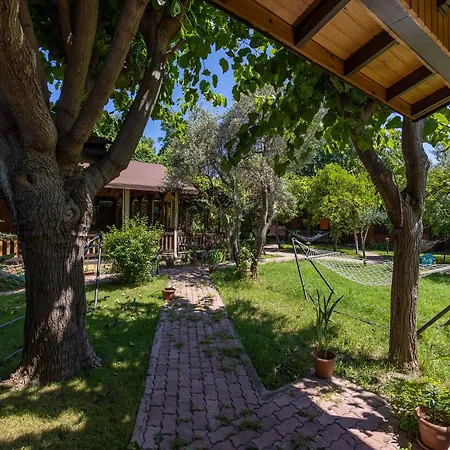 Hotel Caretta Caretta 3*