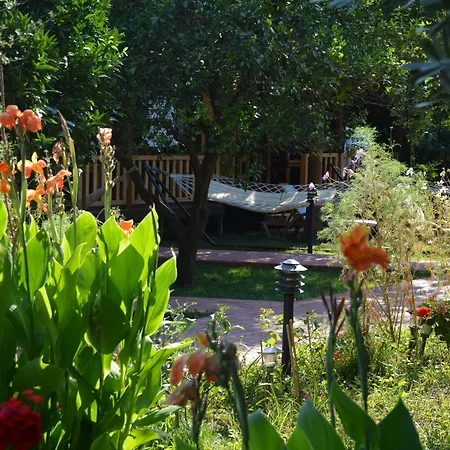 Hotel Caretta Caretta 3*