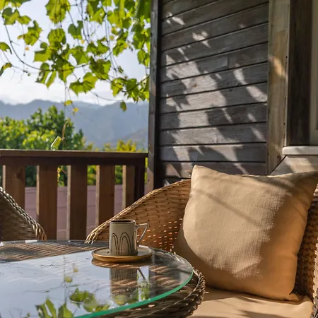 Hotel Caretta Caretta 3*