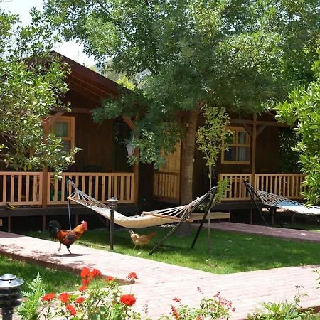 Hotel Caretta Caretta Çıralı