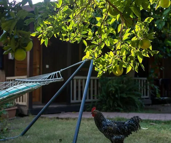 Caretta Caretta Hotel Çıralı