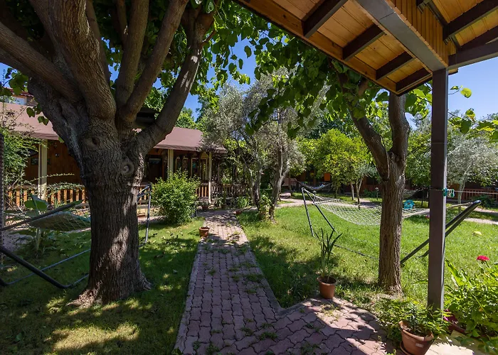 Hotel Caretta Caretta 3*