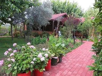 Hotel Caretta Caretta 3*