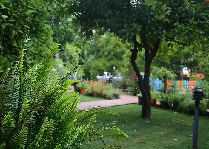 Hotel Caretta Caretta Çıralı