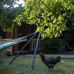 Caretta Caretta Hotel Çıralı